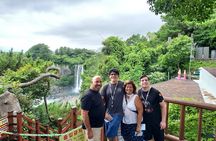 Private Day Tour A lot of Experienced Jumbo Taxi Driver in jeju 