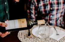 Langhe and Monferrato Wine Tasting with the Producer