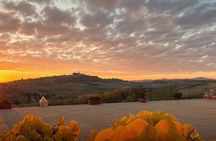 Langhe and Monferrato Wine Tasting with the Producer