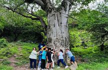 Private Mountain Safari Tour in Oman