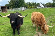 Loch Ness Tour: Day Trip to Loch Ness, Outlander Sites and More