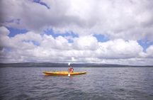 Arenal Lake Kayak Adventure