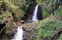 Half day tour: Grenada Seven Sisters Hike and Grand Etang Lake 