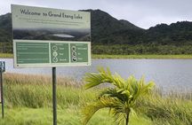 Half day tour: Grenada Seven Sisters Hike and Grand Etang Lake 