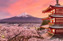 Customizable Private Tour in Mt. Fuji with Private Driver