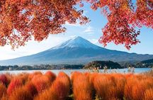 Customizable Private Tour in Mt. Fuji with Private Driver