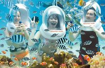 Bali Uluwatu Private Day Tour - All Inclusive