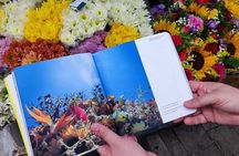 Tour of Medellin with Express Visit to Commune 13 and Artistic Book