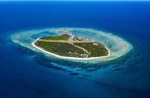 Great Barrier Reef Day Trip from Bundaberg to Lady Elliot Island 