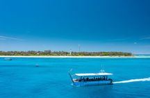 Great Barrier Reef Day Trip from Bundaberg to Lady Elliot Island 