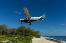 Great Barrier Reef Day Trip from Bundaberg to Lady Elliot Island 