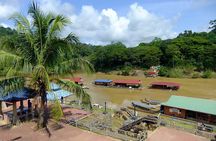 Taman Negara National Park Day Excursion with Canopy Walk from KL