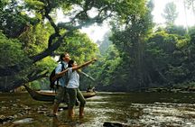 Taman Negara National Park Day Excursion with Canopy Walk from KL