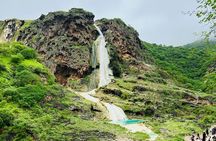 Mountain Safari Private Tour