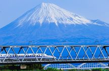 Guided Mt. Fuji & Hakone Tour Bullet Train Return GREEN NUMBER 