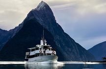 Premium Milford Sound Small Group Tour & Cruise from Queenstown 