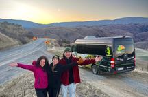 Mt Cook & Tasman Glacier lookout Small Group Tour from Queenstown