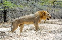 9 Days Selous Safari and Zanzibar Beach Holiday Tour