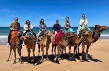 4 hour private Tour of Tangier 