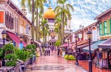 Half Day Singapore Exploration from Cruise Port