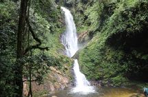3 Day Nyungwe National Park Safari
