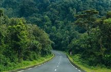 3 Day Nyungwe National Park Safari