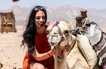 Amazing Safari by Quad Bike & Camel Ride With Transfer - Hurghada