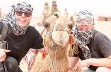 Amazing Safari by Quad Bike & Camel Ride With Transfer - Hurghada