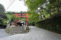 Zero Emission Car Private Kyoto Tour with Japanese Guide