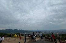 (4hours)Zero Emission Car Private Kyoto Tour with Japanese Guide