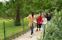 Eiffel Tower Summit Semi-Private Guided Tour