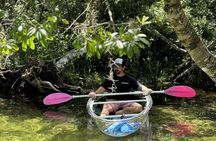 Private Crystal Clear 2 HR Kayak/Paddle Rental on Rainbow River