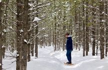 Grand Teton Private Winter Tour