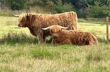 Half Day Loch Ness Circular Tour