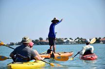 Guided Kayak Tour from Margaritaville