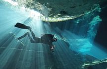 Mind Blowing Cenote Diving Experience In Playa del Carmen