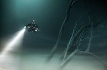 Mind Blowing Cenote Diving Experience In Playa del Carmen