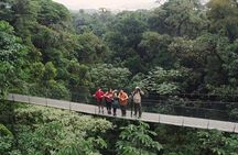 La Fortuna Full Day Waterfall, Arenal Volcano and Hanging Bridges