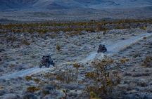 Las Vegas Blvd. Summer Desert Twilight SXS Quest