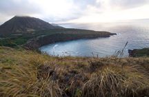 Oahu Private Tour-Full or Half Day-Customizable 
