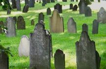 80-Min Non-Stop Narrated Tour of Historic Boston & Freedom Trail