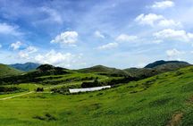 Yangmingshan Half Day Tour in Taipei