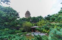 1 Day Chongqing Megacity Walking Tour