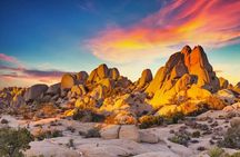 Private Day Tour to Joshua Tree National Park from San Diego 