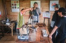 Chiang Mai Organic Coffee Tour: Hand-Roasting & Brewing Workshop 