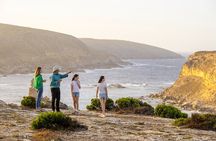 Port Lincoln and Coffin Bay Day Tour