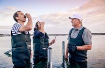 Port Lincoln and Coffin Bay Day Tour