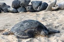 Private Half Day Road to Hana Tour