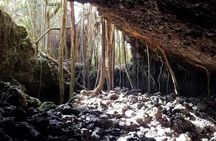 Private Half Day Road to Hana Tour