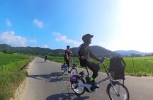 Explore Arashiyama: Bamboo Groove with a Japanese local by E-BIKE